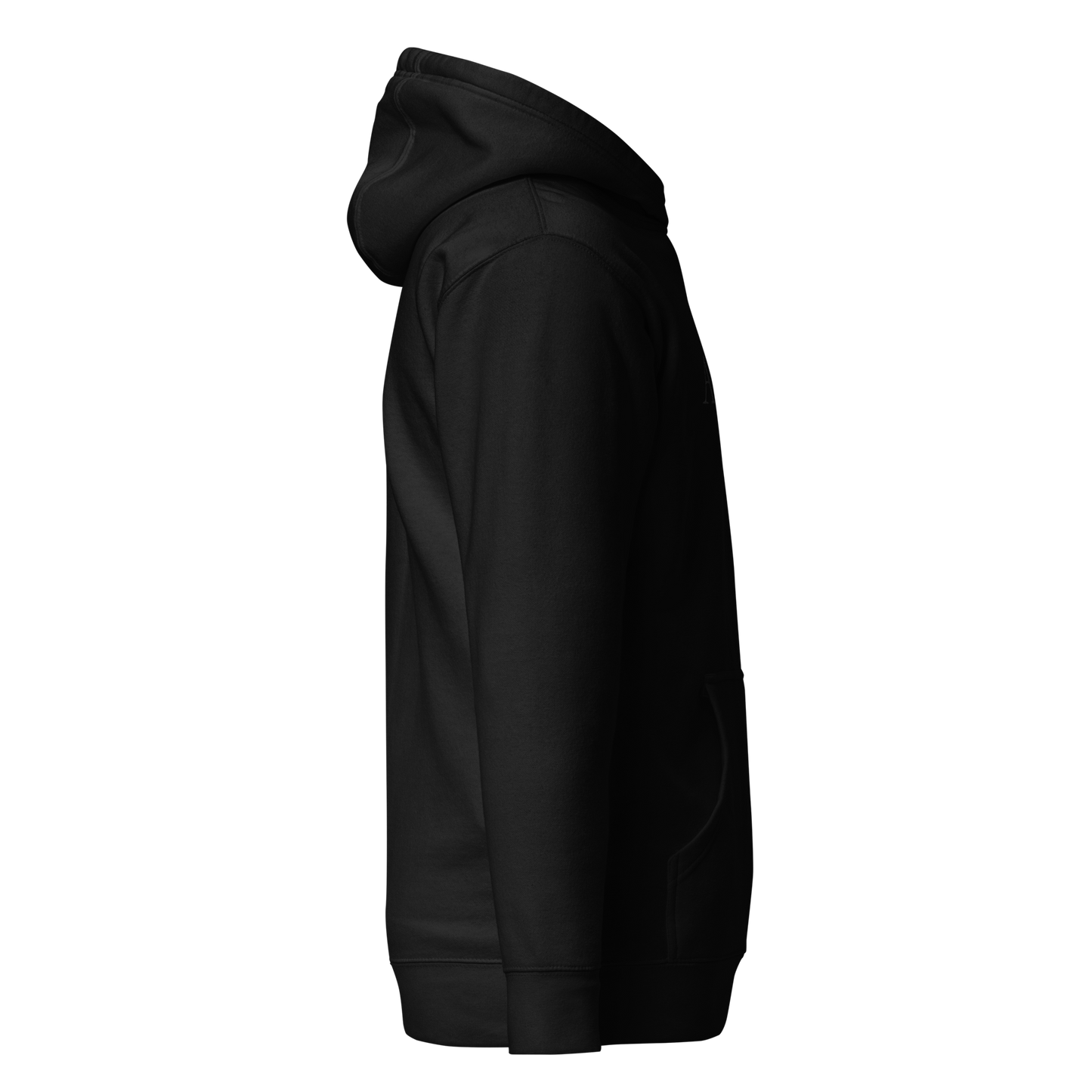 The Sentinel – Hoodie