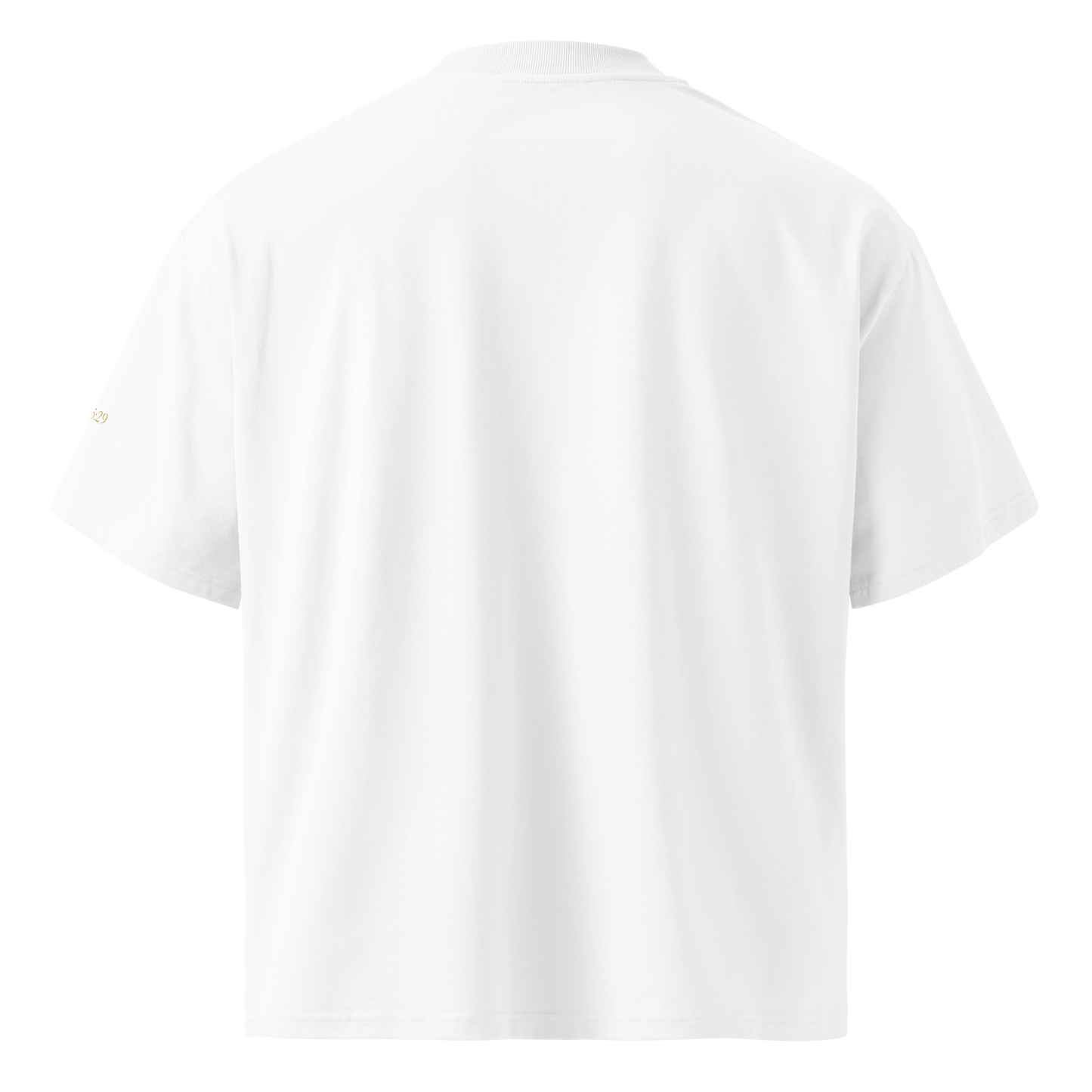 Madonna and the Child – Oversized Tee
